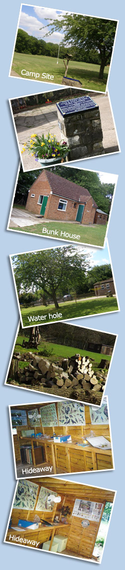 See our gallery page to see larger versions of these and other photos.